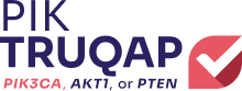 PIK TRUQAP Logo