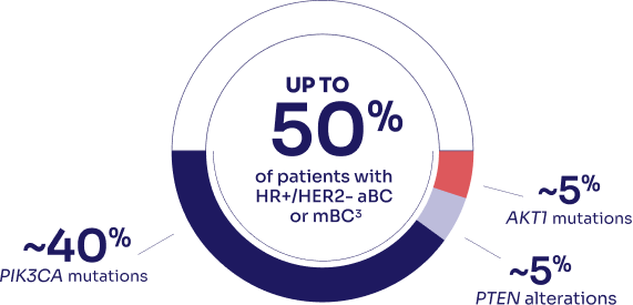 Disease Progression of Patients With HR+/HER2- aBC or mBC