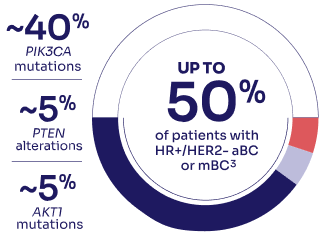 Disease Progression of Patients With HR+/HER2- aBC or mBC