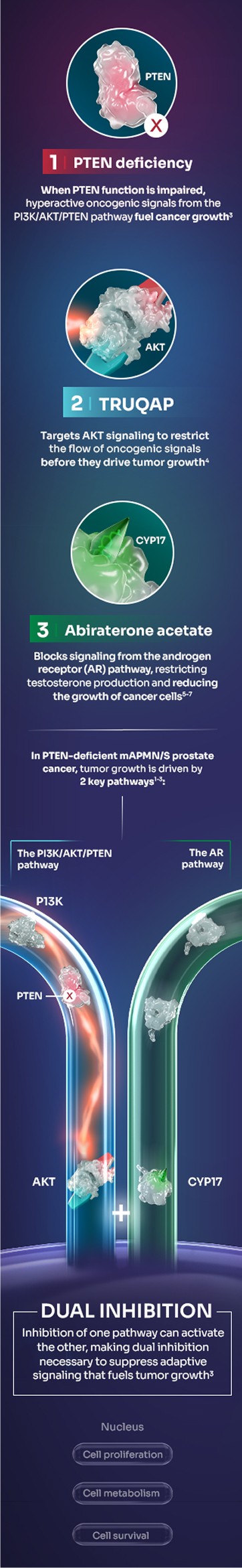TRUQAP Mechanism of Action Within The PI3K/AKT/PTEN Pathway